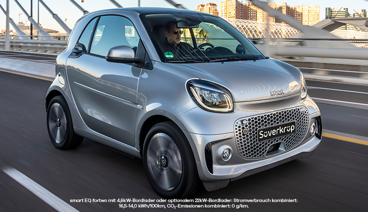 Einstiegsleisten für Smart ForTwo günstig bestellen