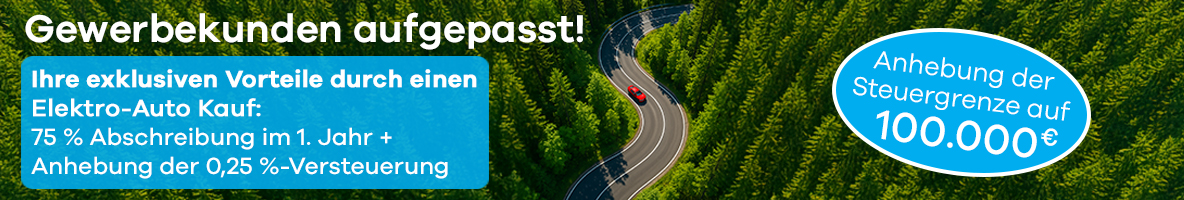 E-Auto_Vorteile_Förderung_Steuergrenze_mit-Störer_Juni-2025_Desktop