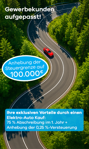 E-Auto_Vorteile_Förderung_Steuergrenze_mit-Störer_Juni-2025_mobil